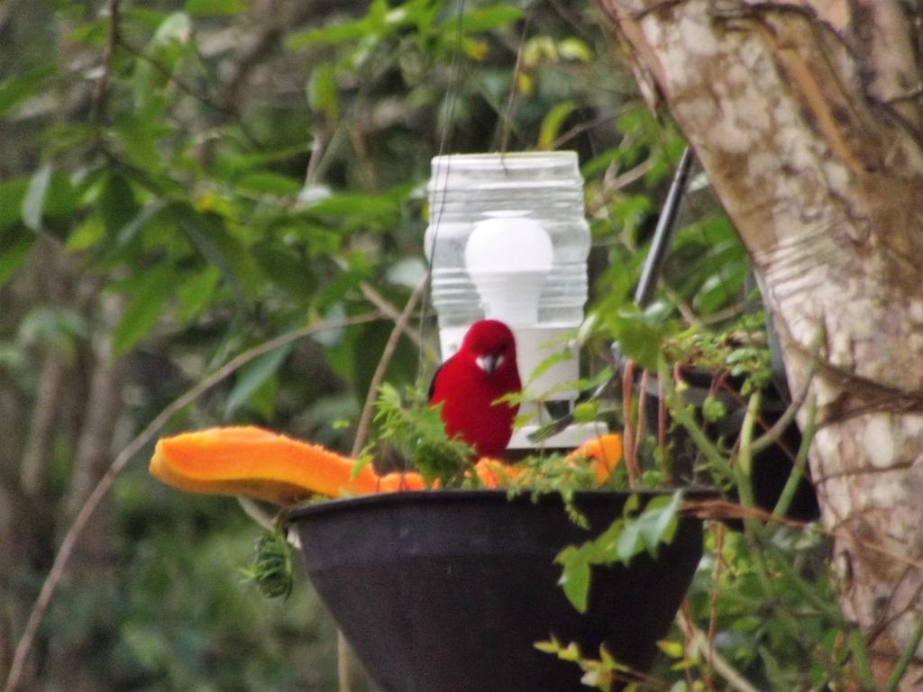 Pousada Miracolo Araquari Exterior foto